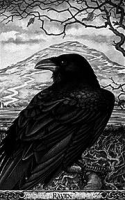 Corvo