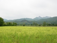 Panoramica Sullo sfondo Le Alpi Apuane tra cui l´Omo Morto