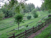 Giardino di Montagna, Parco dell´Orecchiella