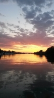 Migliarino San Rossore Massaciuccoli Natural Park, Sunset from Arno river