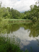 Small thermal lake of Prà di Lama