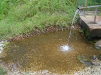 Small thermal lake of Prà di Lama; source of thermal water